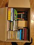 Lote 50+ livros - anos 70/80/90/00