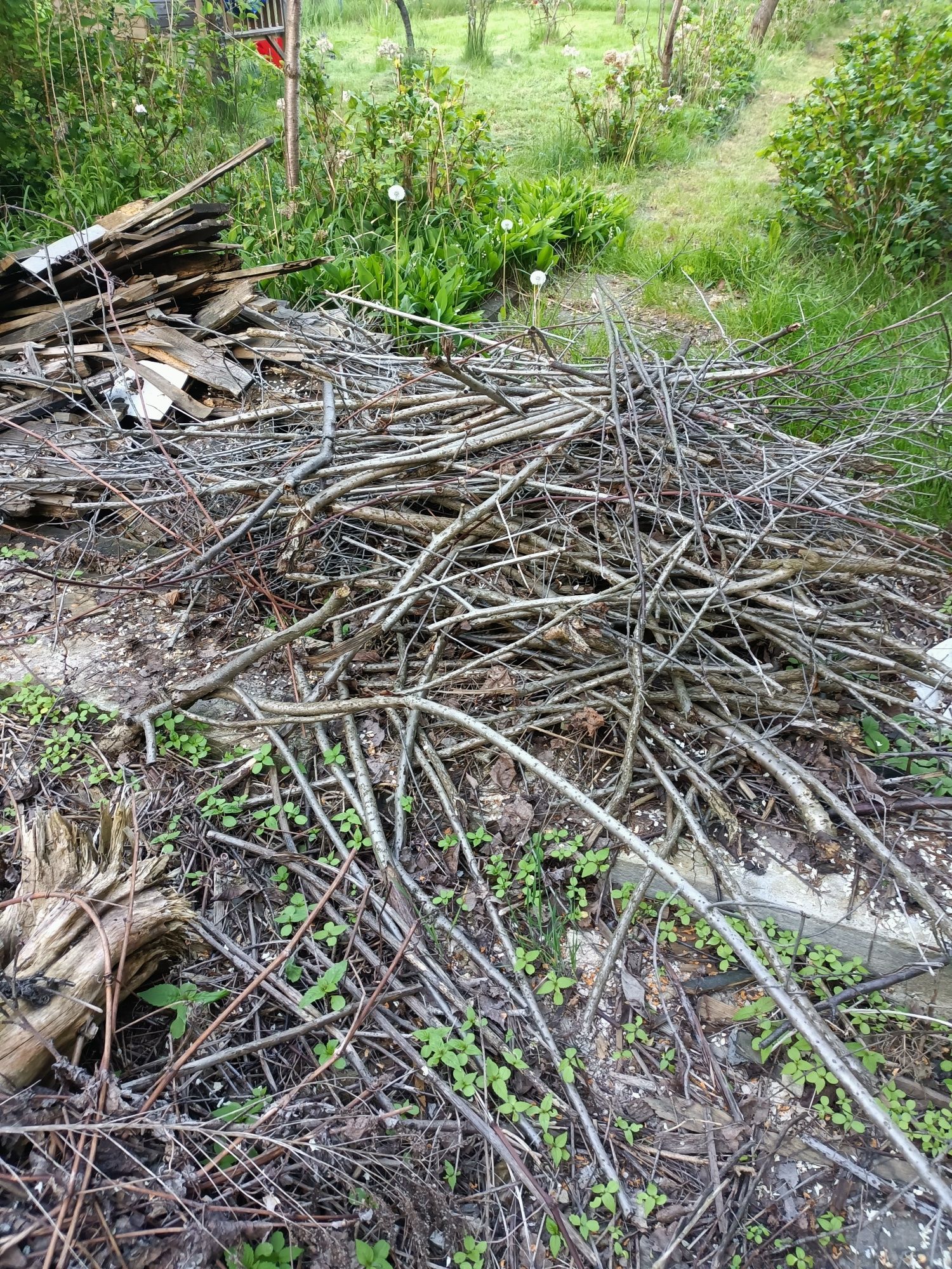 Drewno z rozbiórki i cięcia