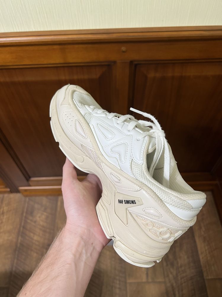Raf simons pharaxus (ozweego)