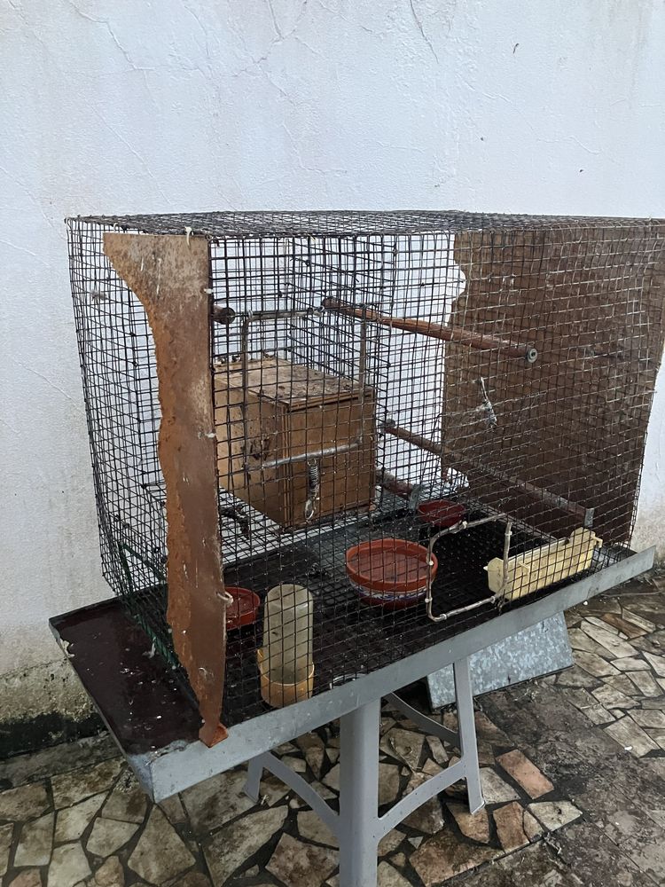 Viveiros para pássaros