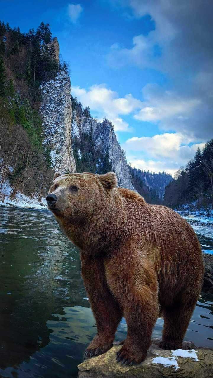 Pokoje u Jakuba - noclegi, Krościenko nad Dunajcem, Pieniny