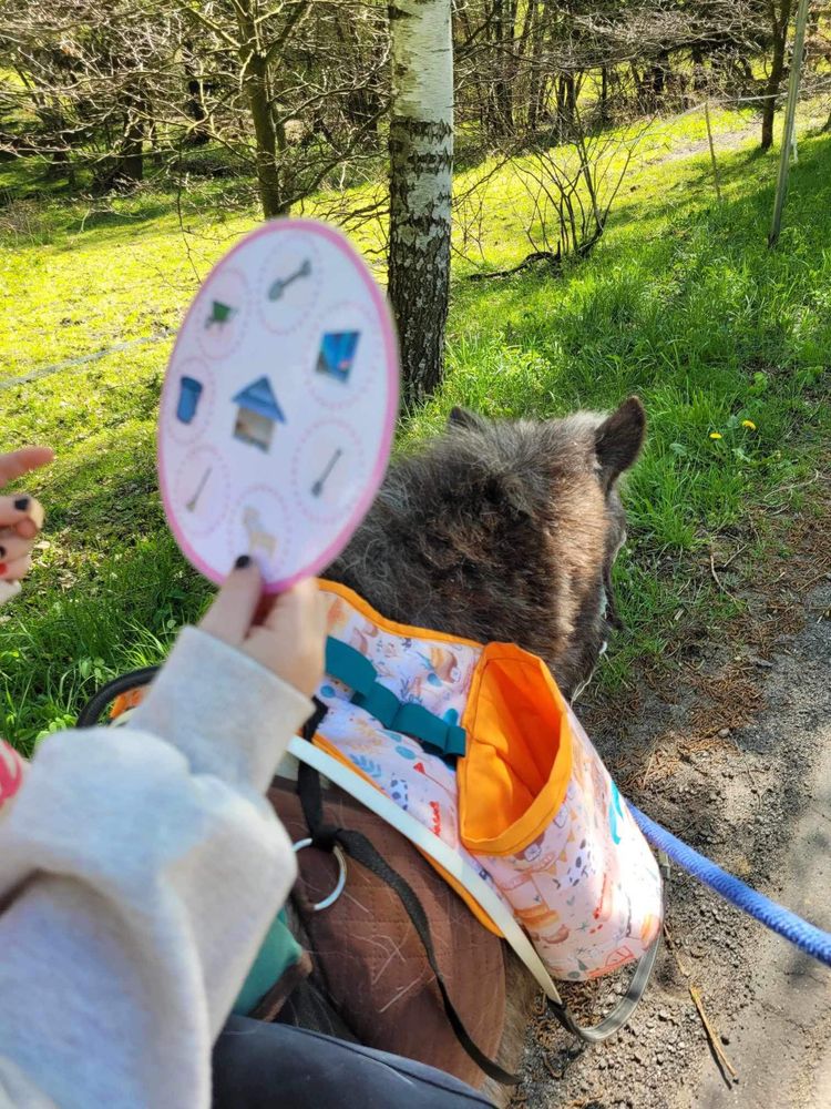 Hopoterapia mała sakwa na kuca lub osiołka
