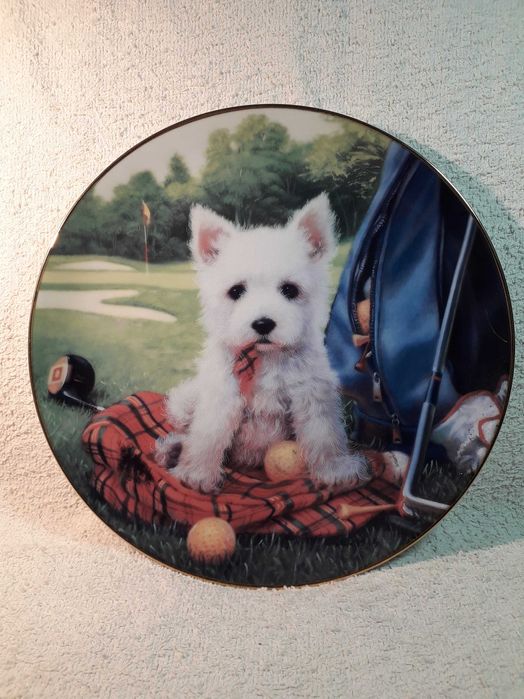 Talerz z porcelany kolekcjonerski Golf + szczeniak