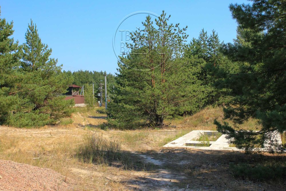 Продаж Ділянки 10 соток Гореничі Світло Ліс