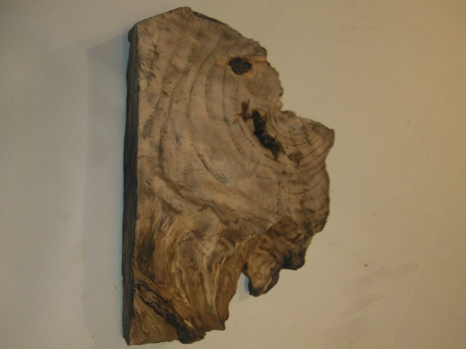 Tronco de cedro rosa