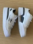 Adidas forum bold