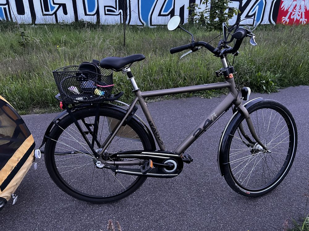 Męski rower miejski Batavus 24/7