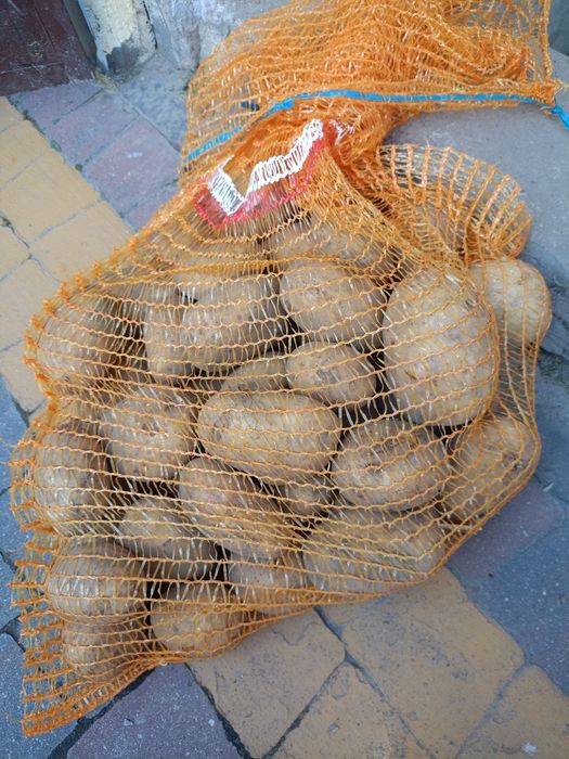 Sprzedam ziemniaki