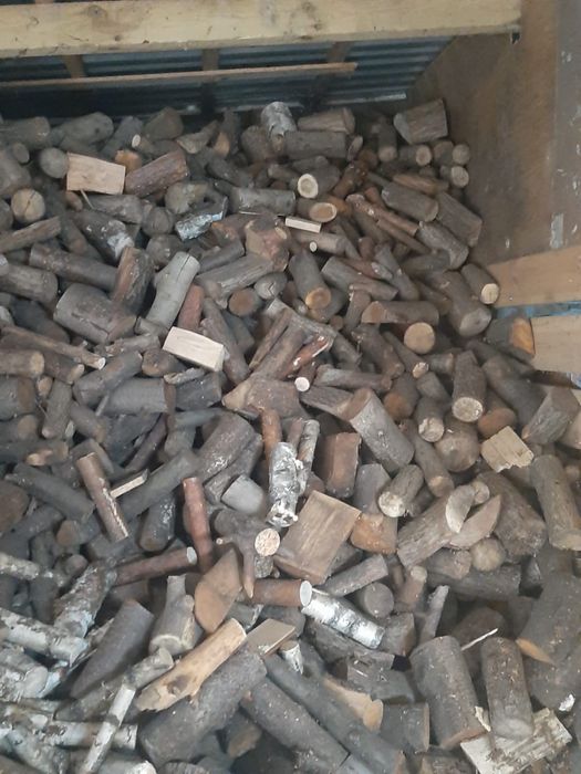 Sprzedam drzewo mieszane dąb, wiąz, akacja, buk