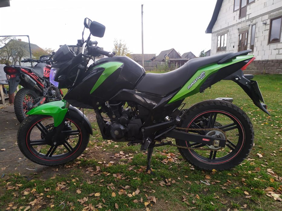 Продам штанговий мотор вайпер магнум 200.