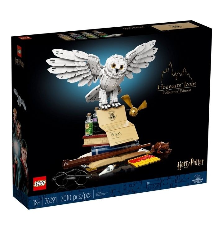 LEGO Harry Potter Коллекционный набор Хогвартс, Гарри Поттер (76391)