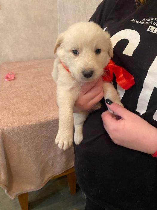 Хлопчики в добрі ручки