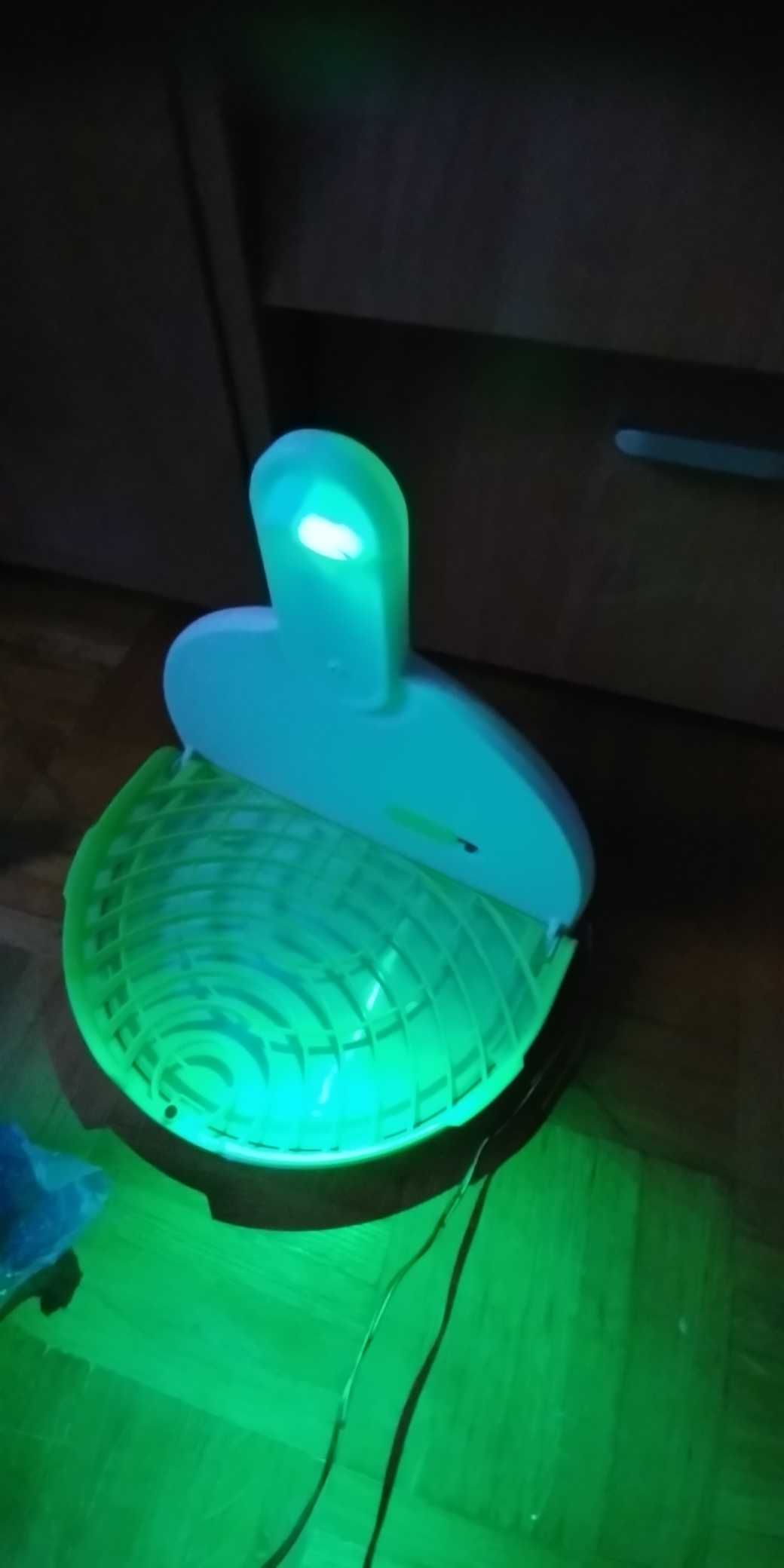 My flea trap pułapka na pchły pies kot