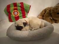 Cao em peluche da raça PUG