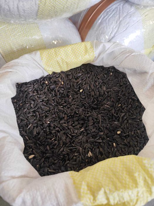 Słonecznik Czarny Drobny karma dla ptaków ziarno 20KG POLSKI wysyłka