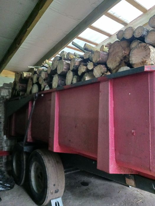 Drzewo opałowe sosna