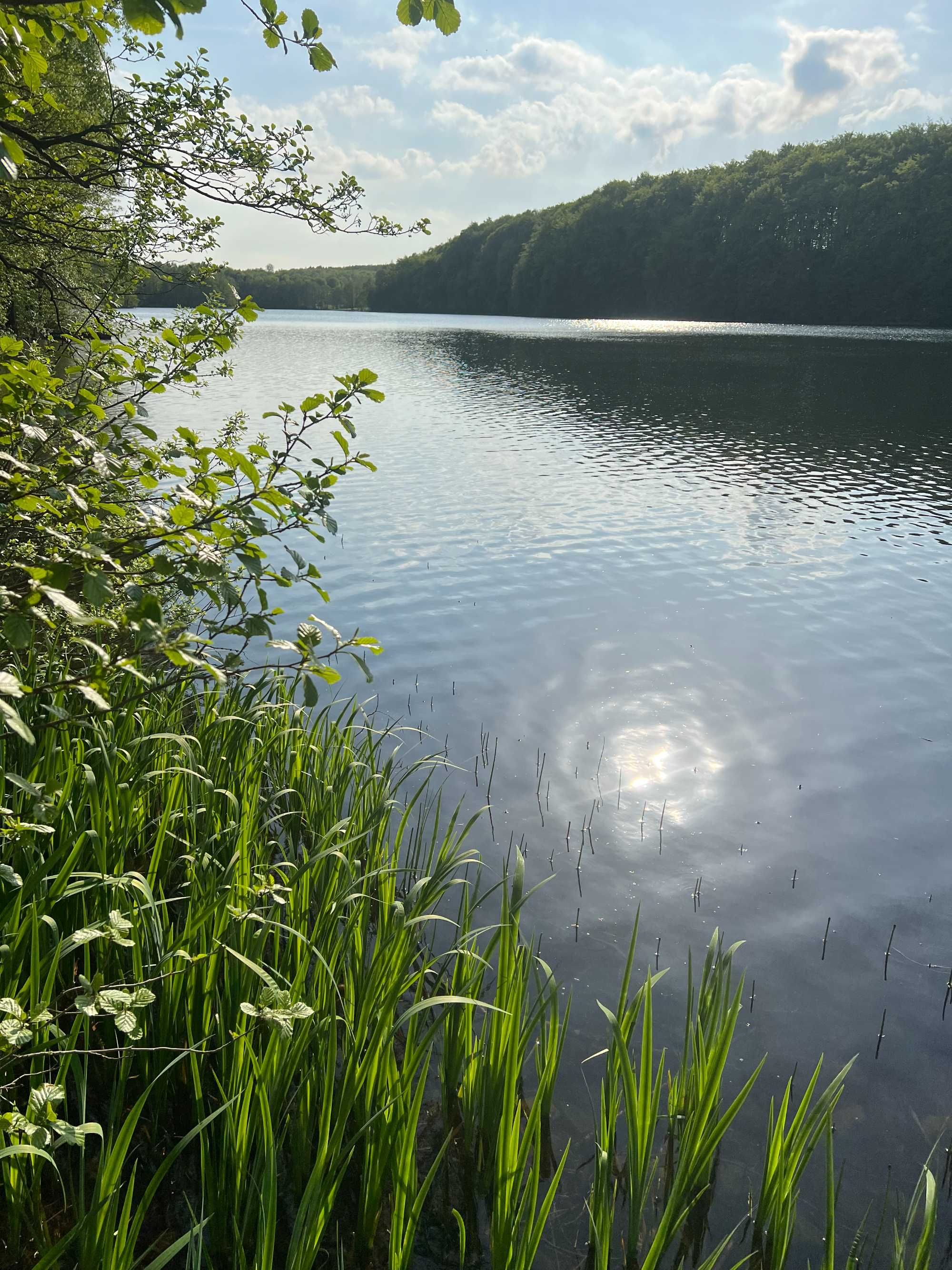 Domek letniskowy nad jeziorem Kaszuby