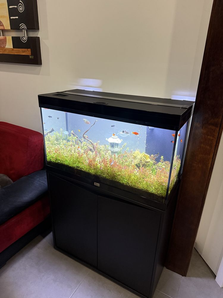 Aquário de Água quente com móvel incorporado