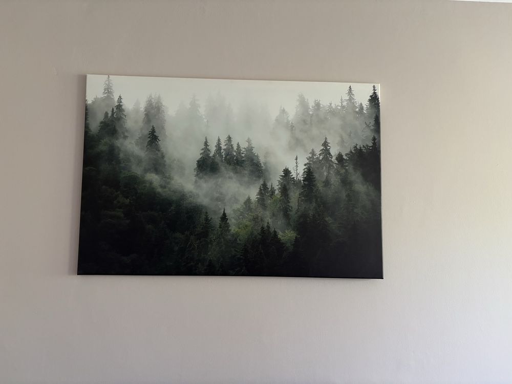 Obraz na płótnie las we mgle 120x80