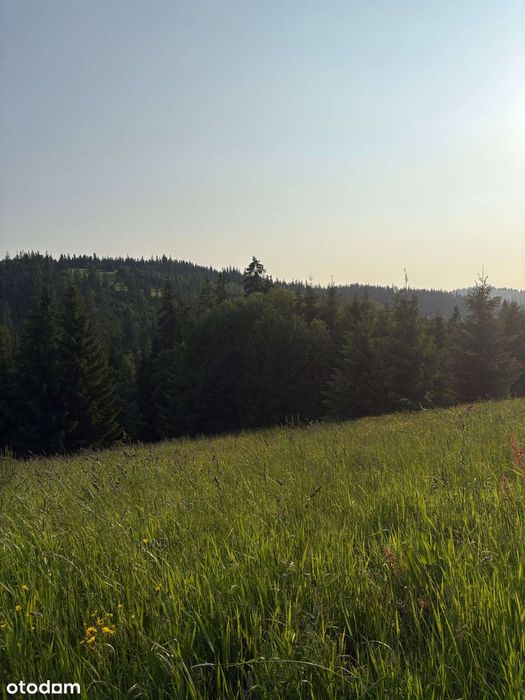 Bukowina Tatrzańska | Widokowa działka