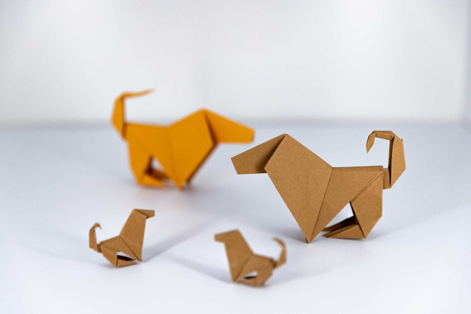 Origami - Zwierzęta, bryły, figury z papieru