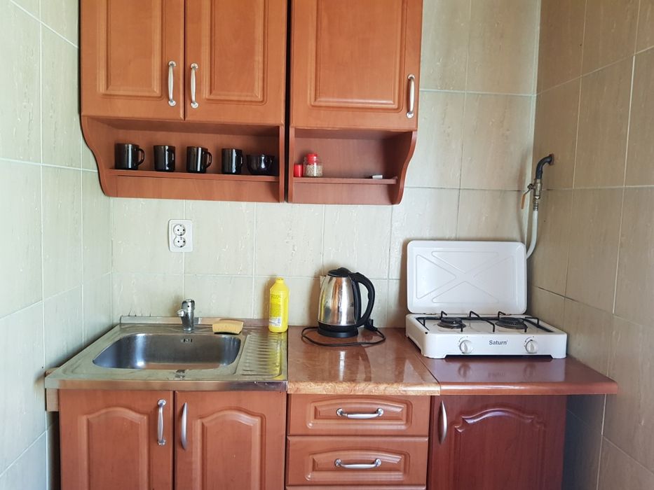 Котедж "Дикий Ліс" проживання/відпочинок/оренда житла Карпатах Яремче