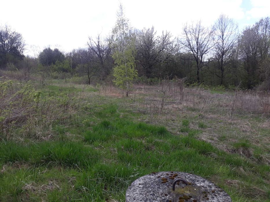 Nieruchomość 3ha  - 300 ar .,Podkarpackie Lipnica górna