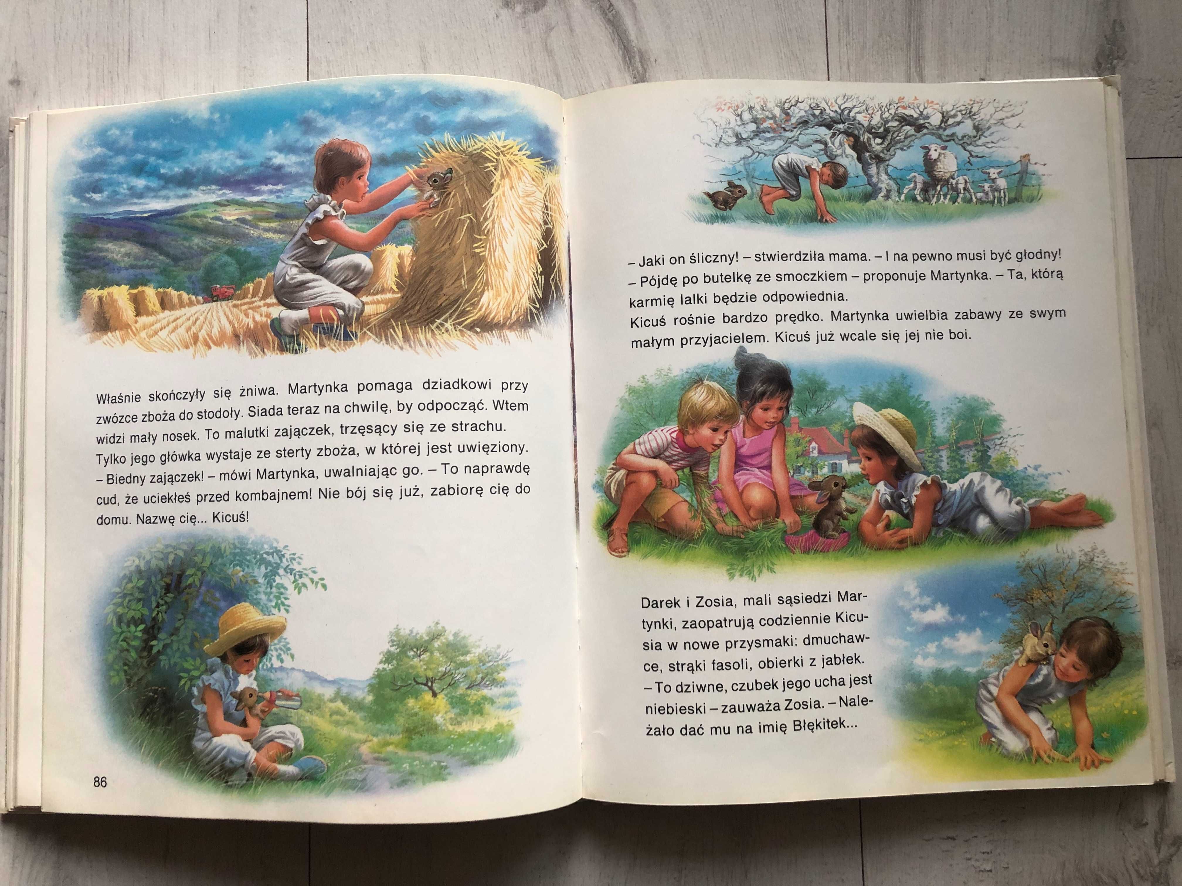 Martynka na wakacjach Gilbert Delahaye Książka dla dzieci bajki bajka
