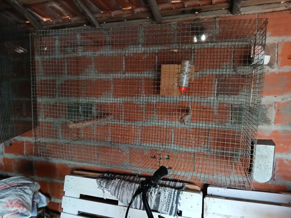 Gaiola grande ou viveiro