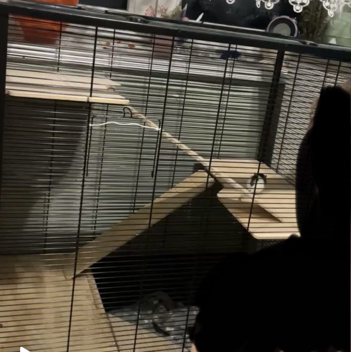 Sprzedam klatke frodo