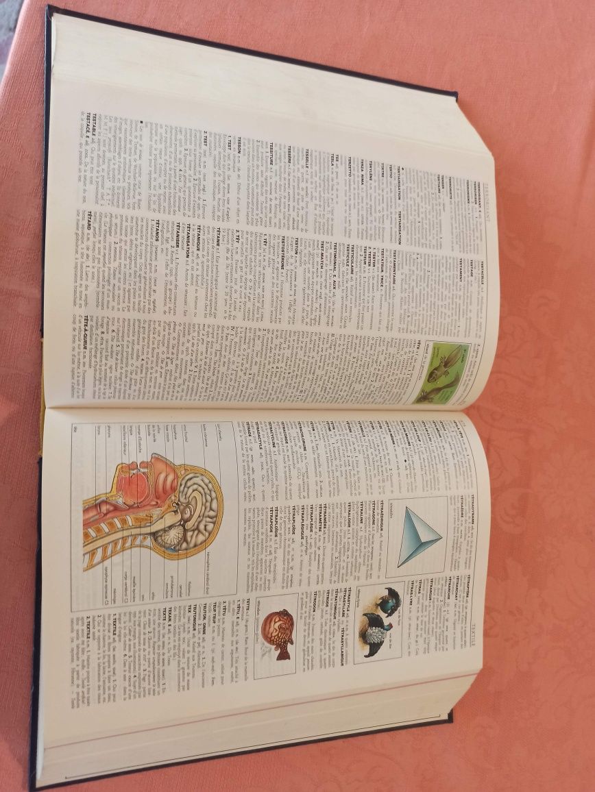 Dicionário Petit Larousse en couleurs 1989