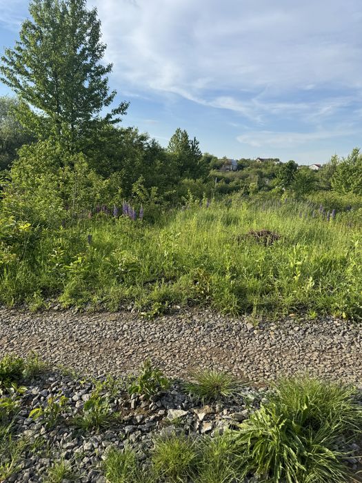 Продаж земельної ділянки 8 сот. Давидківці СТ Енергія під будівництво