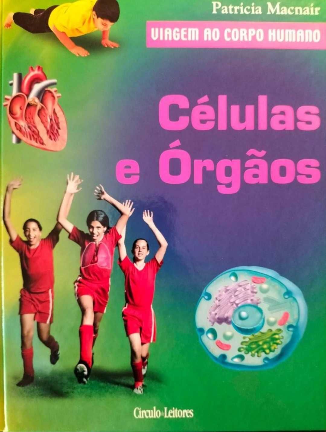 VEM APRENDER - viagem pelo corpo humano*** preço cada livro