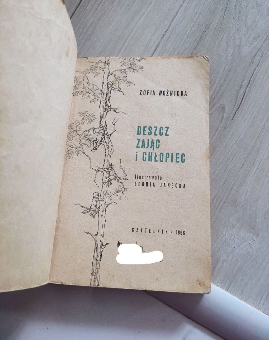 Zofia Woźnicka "Deszcz, zając i chłopiec"