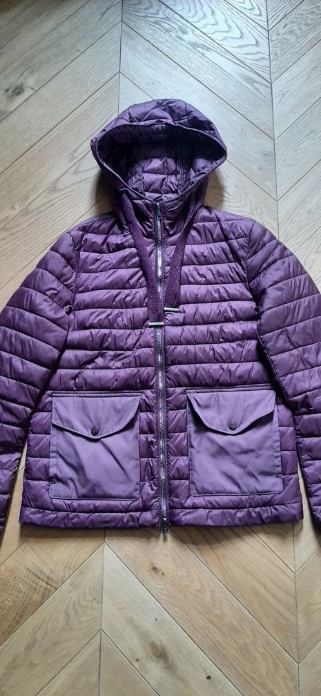 Kurtka Massimo Dutti r.S fiolet