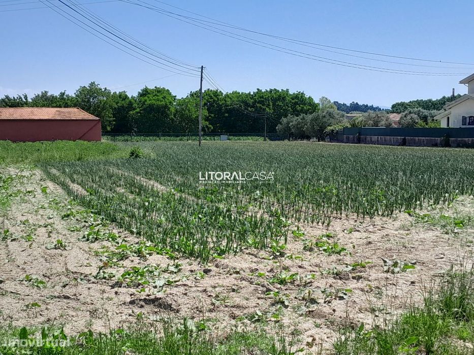 Terreno para construção com 2900m2 | Troviscal