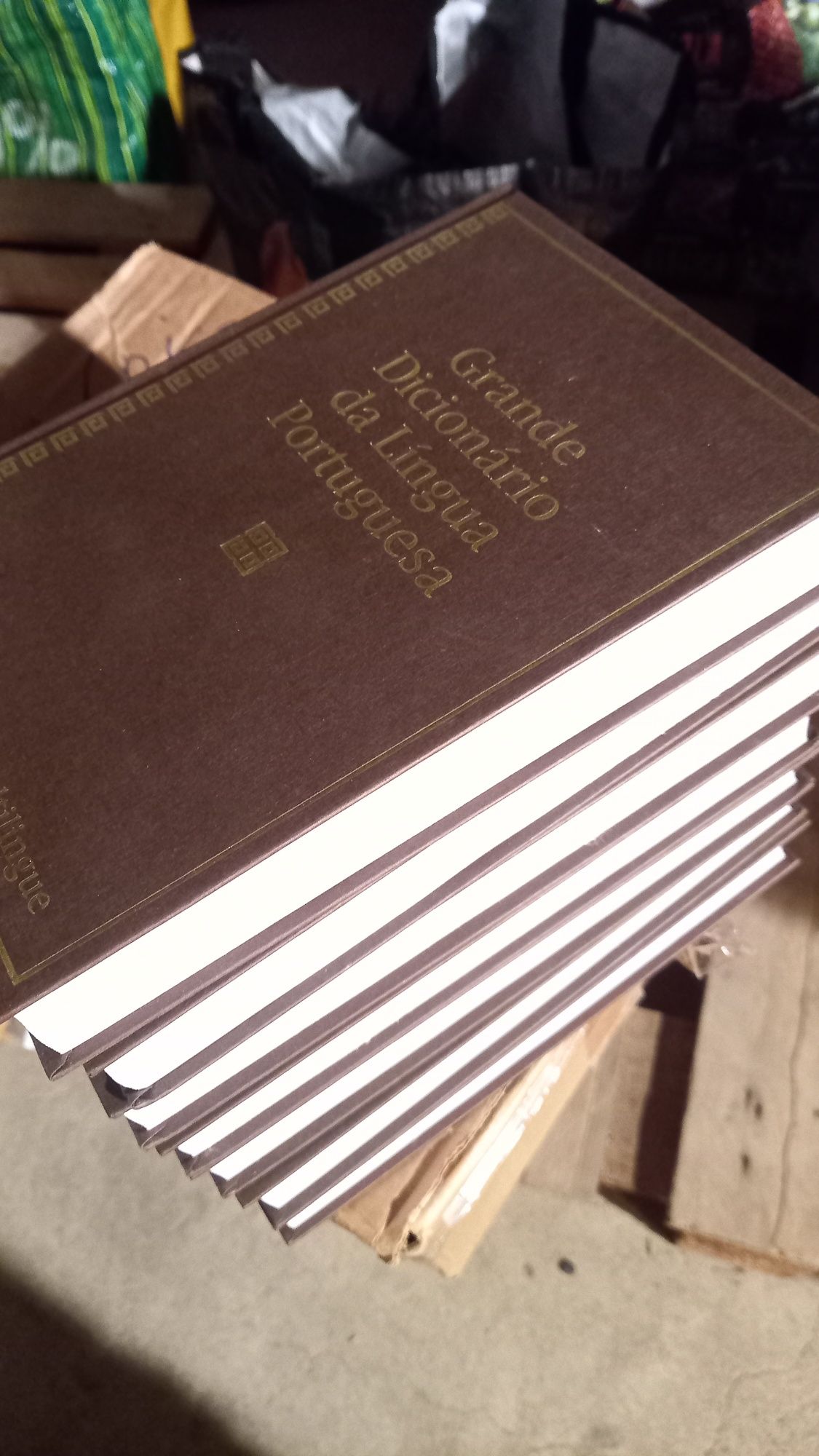Vendo Grande Dicionário da Língua  Portuguesa  muito barato