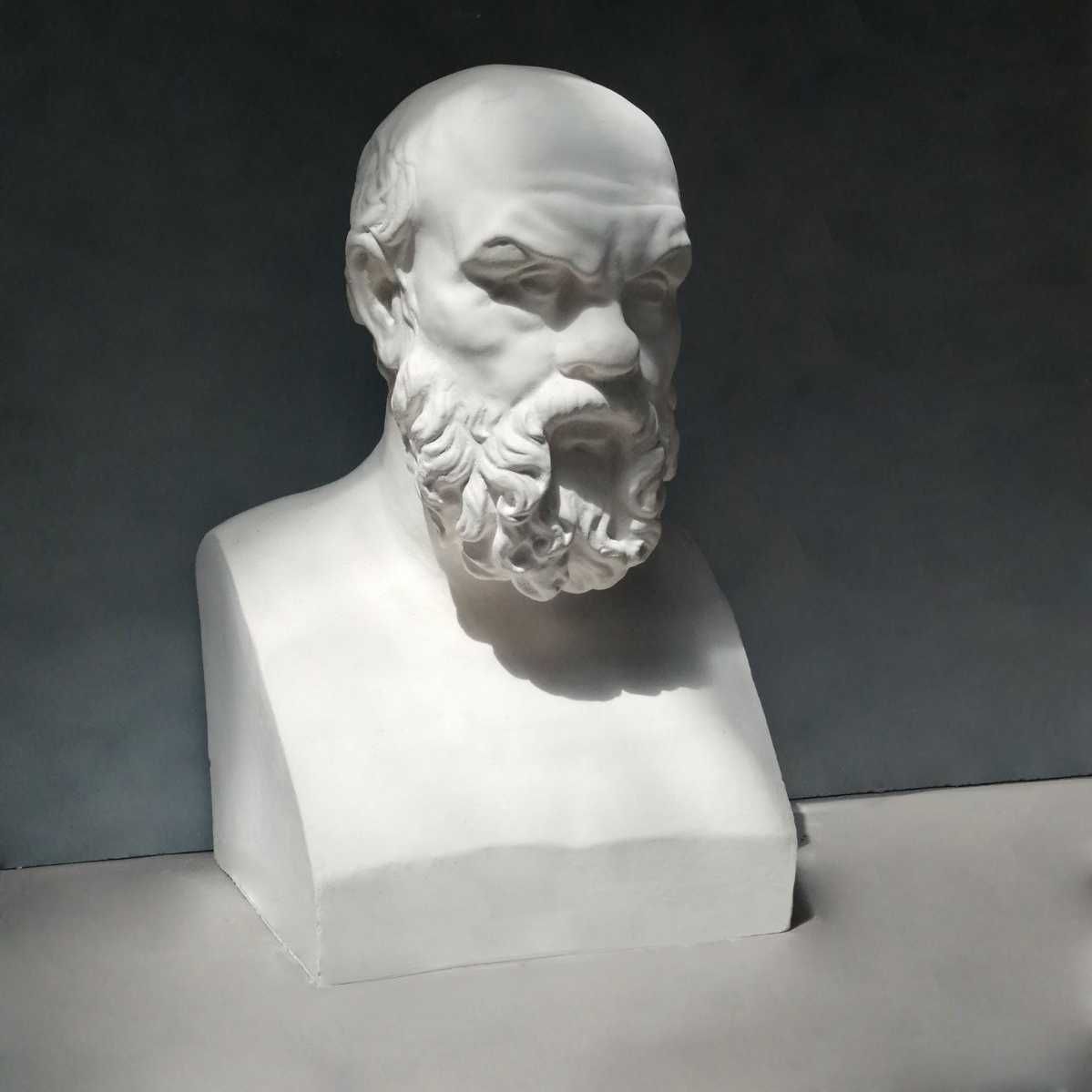 Скульптура, гіпсовий бюст, погруддя Сократа, навчальний посібник