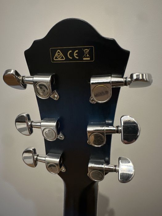 Ibanez AEG8E tbs