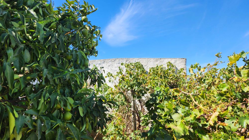 Charmosa vivenda alentejana com quintal e vista