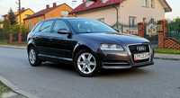 Audi A3 1.6 MPI 102 KM !!Super Stan. serwis, 100%Bez!!