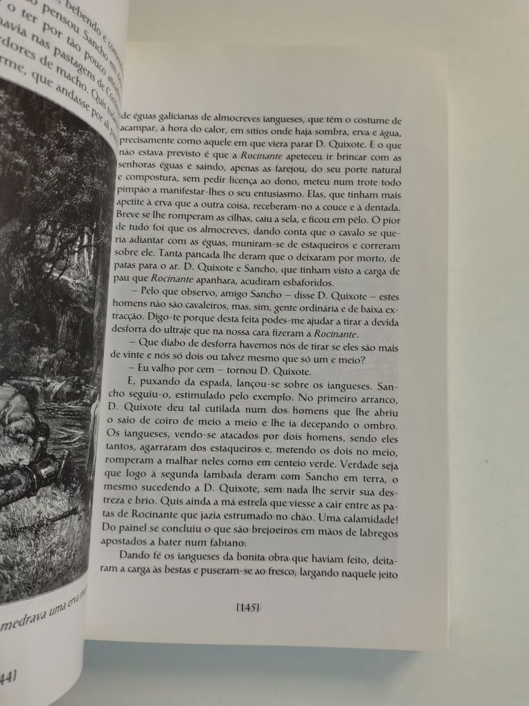 D. Quixote de La Mancha - Volume I