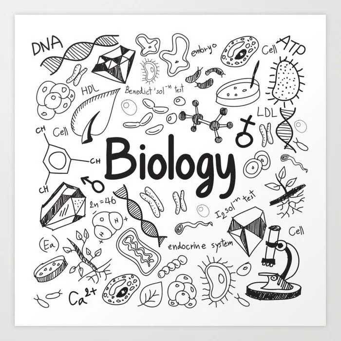 Korepetycje i pomoc w lekcjach (język angielski, biologia)