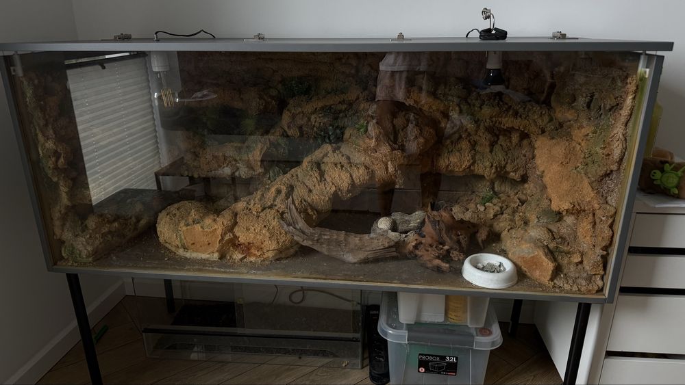 Terrarium duże 154x62x62