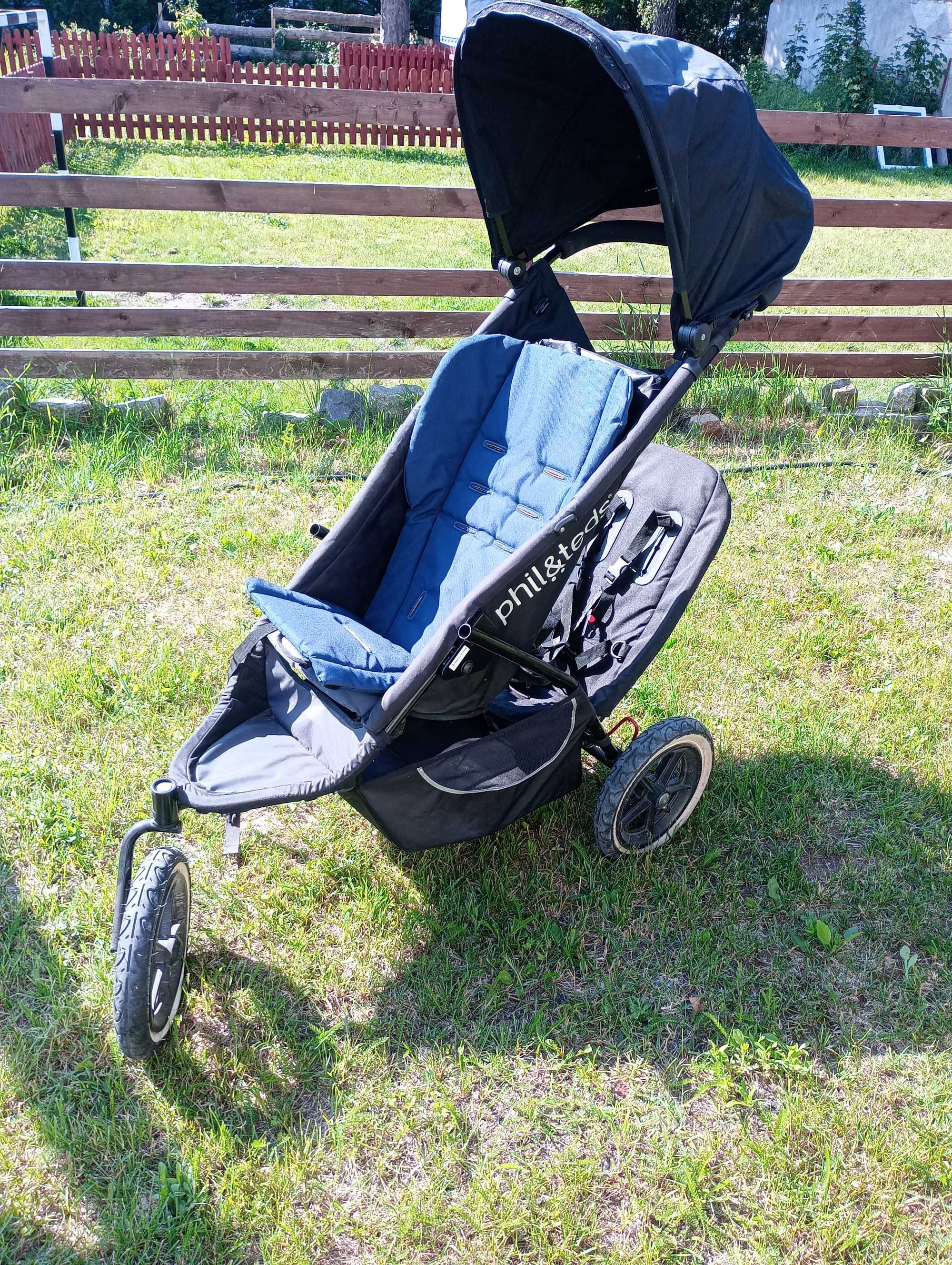 Phil and teds buggy
