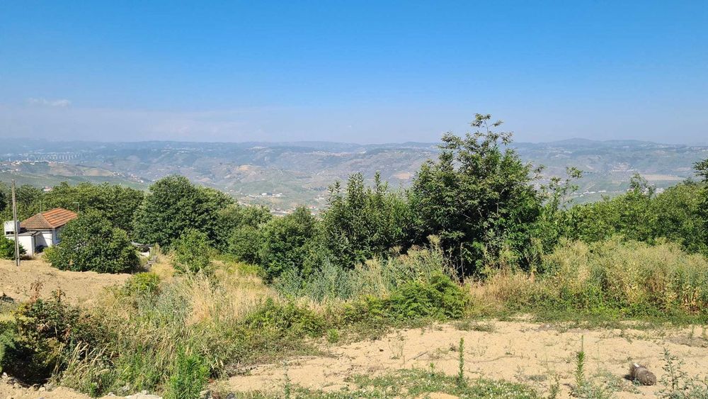 Terreno zona do Douro com viabilidade de construção