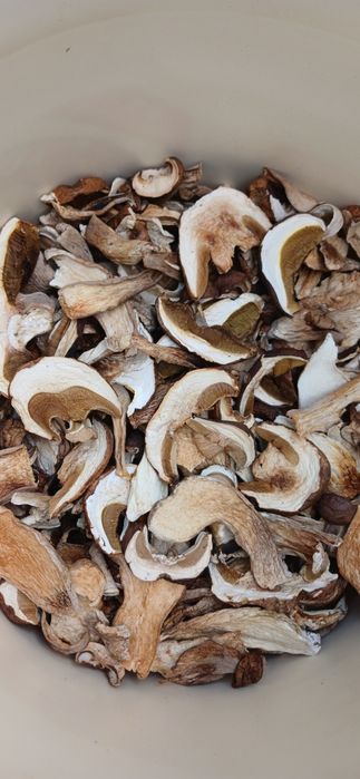 Гриби білі сушені, карпатські (сушеные белые грибы)