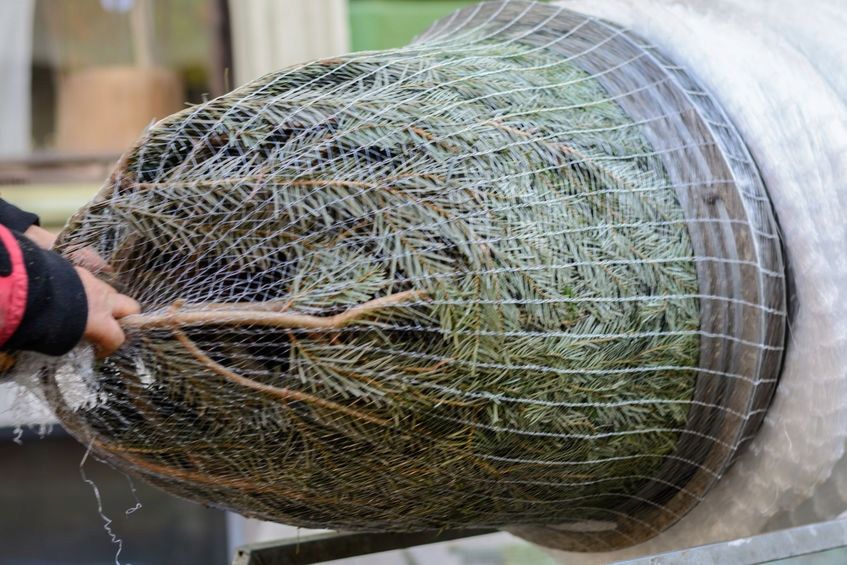 LZ45 Siatka do pakowania choinek 45cm x 300m - 10 sztuk