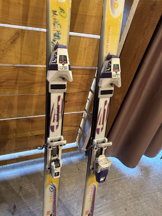 Лижі Dynastar Synchro 4.1 t. 182