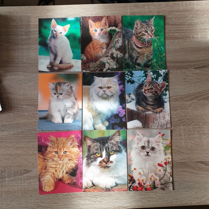 Stare pocztówki z kociętami Unigraf 9 szt.